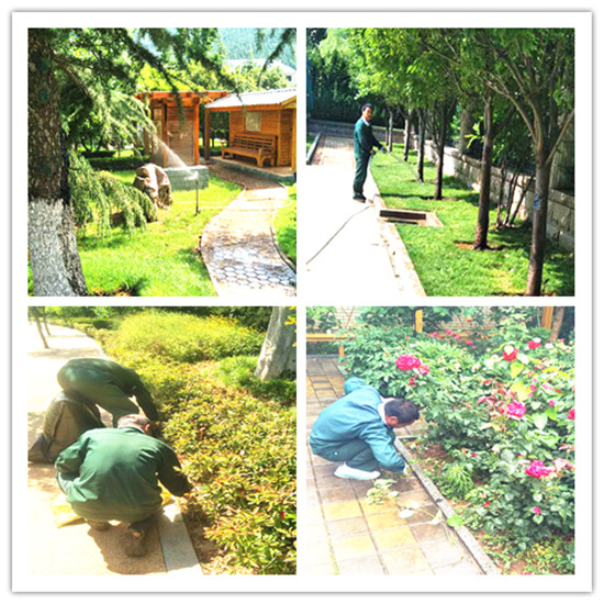 夏季綠化工作注意事項2.jpg 夏季綠化工作注意事項2.jpg