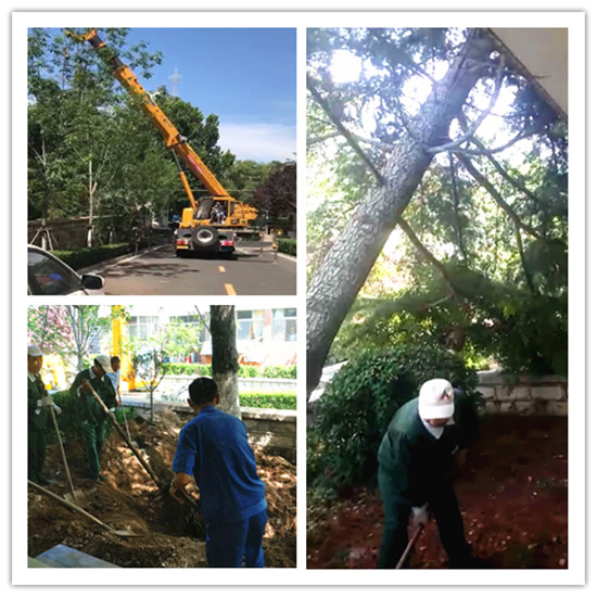 暴雨來襲 “中房物業人”溫暖業主心2.jpg 暴雨來襲 “中房物業人”溫暖業主心2.jpg