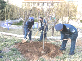 圖片 24.png 圖片 24.png